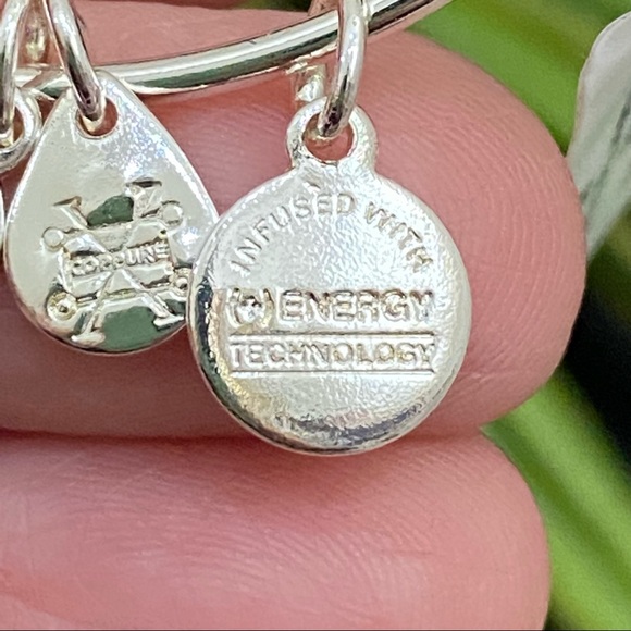 Alex and Ani Bah Humpug Bangle Bracelet - Picture 7 of 10